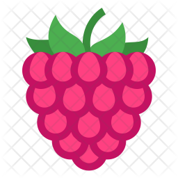 256x256 Raspberry Icon Of Flat Style