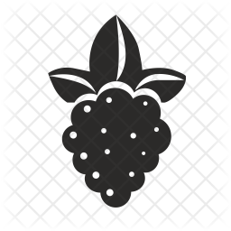 256x256 Raspberry Icon Of Glyph Style