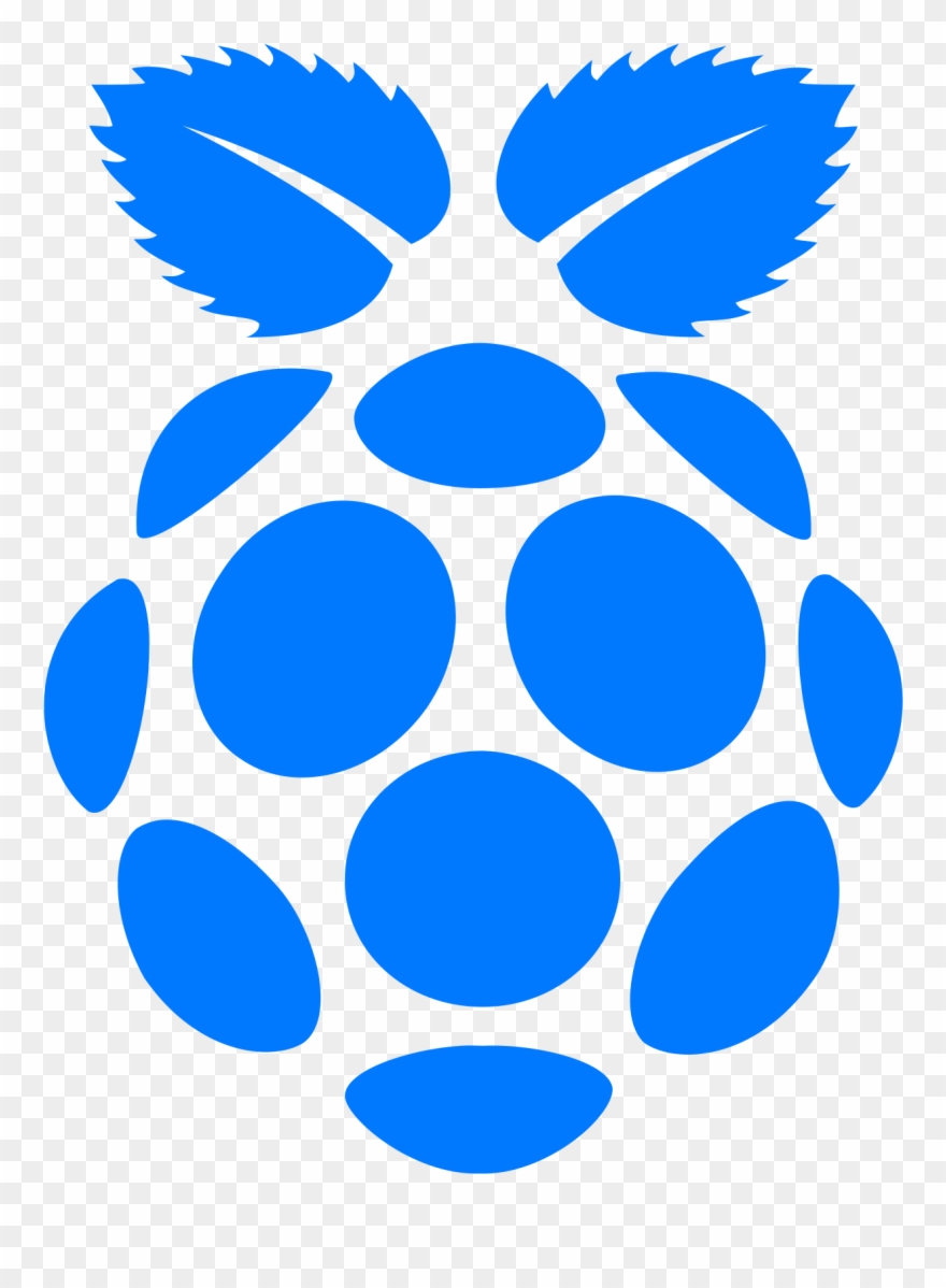 880x1198 Raspberry Pi Filled Icon