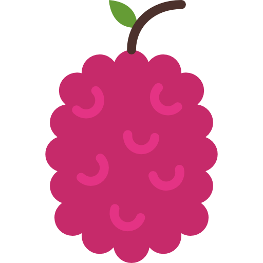 512x512 Raspberry Icon Gastronomy Smashicons