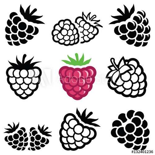 500x500 Raspberry Icon Collection