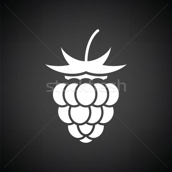 600x600 Raspberry Icon Vector Illustration Pavel Konovalov