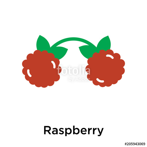500x500 Raspberry Icon Vector Sign And Symbol Isolated On White Background