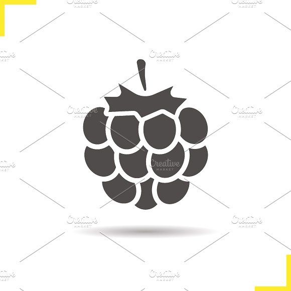 580x580 Raspberry Icon Vector