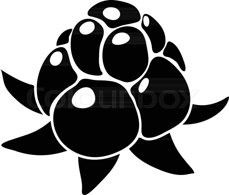 800x681 Wild Raspberry Icon Simple Stock Vector Colourbox