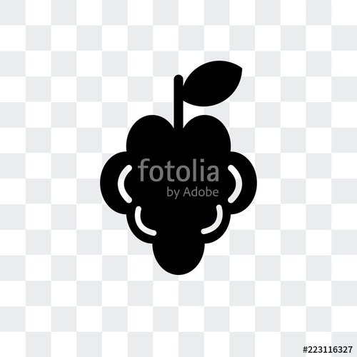 500x500 Raspberry Icon Isolated On Transparent Background Modern