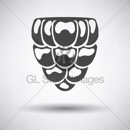 500x500 Icon Of Raspberry Gl Stock Images