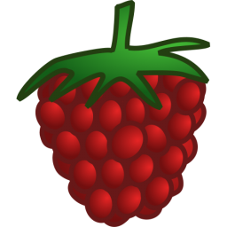 256x256 Raspberry Icon Food Iconset Martin Berube