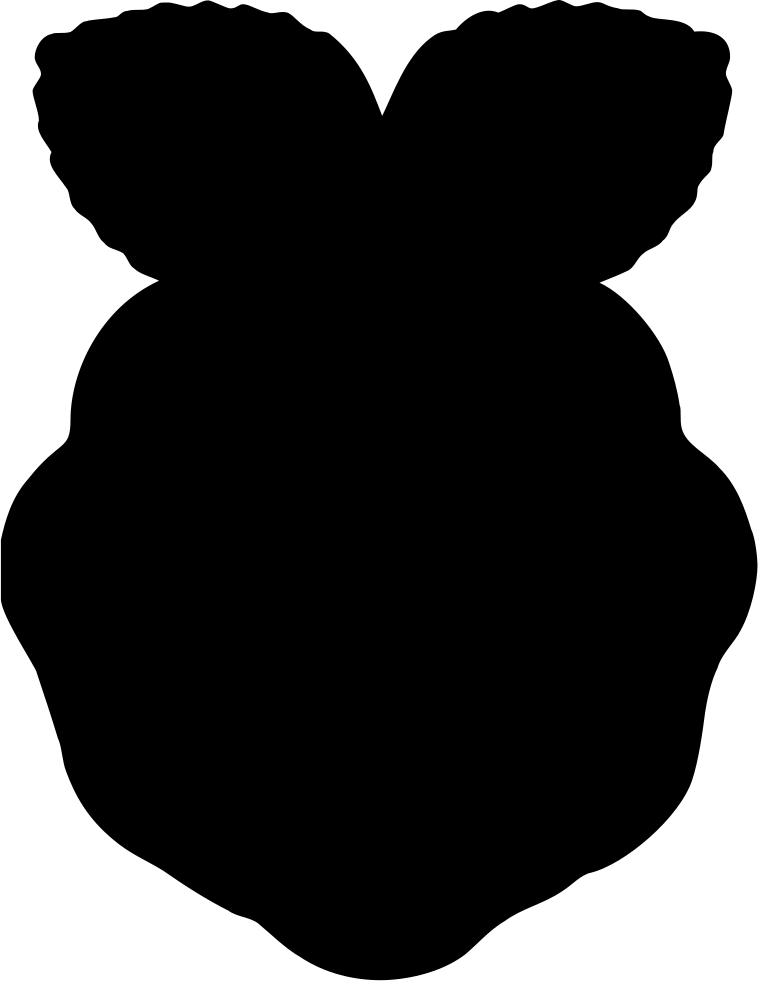 758x981 Raspberry Pi Png Icon Free Download