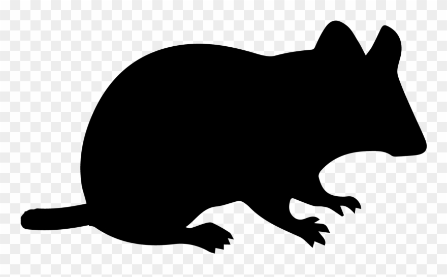 Rat Icon Enviropest 880x545 Rat Icon Enviropest