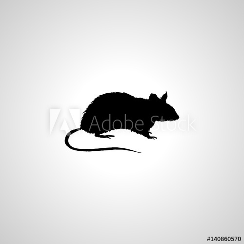 Rat Icon 500x500 Rat Icon