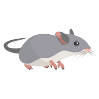 Rat Icon Gold Coast Less Pest Control Lesspest Gold Coast 200x200 Rat Icon Gold Coast Less Pest Control Lesspest Gold Coast