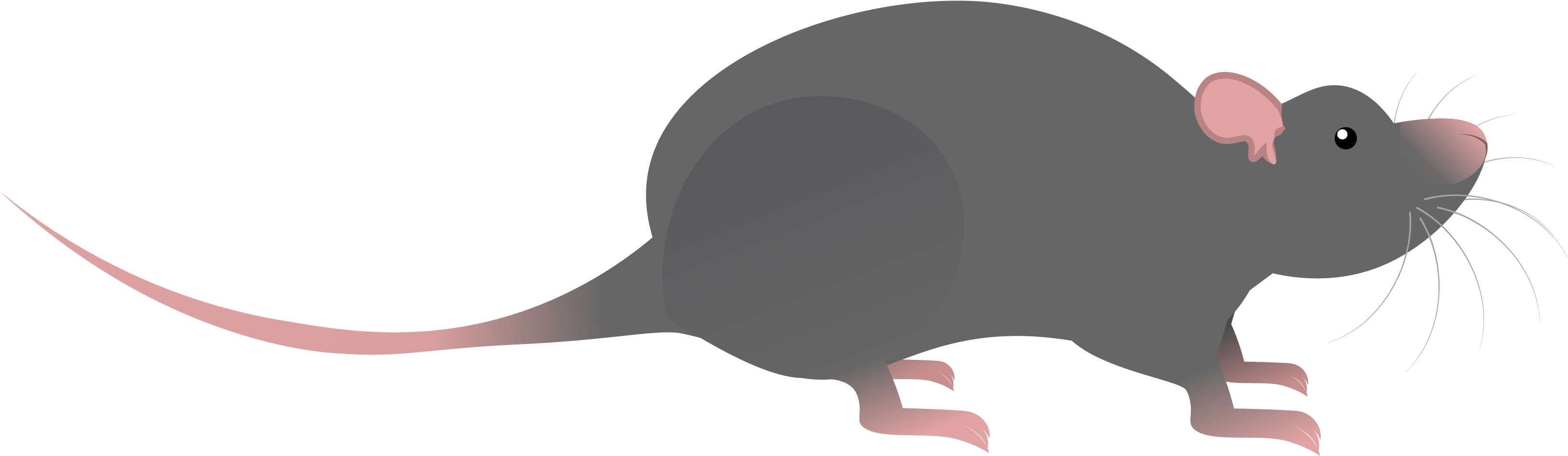 Hd A Rat Icon Designed On Illustrator 3260x949 Hd A Rat Icon Designed On Illustrator