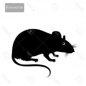Photostock Vector Rat Icon Isometric Illustration Of Rat Vector 300x300 Photostock Vector Rat Icon Isometric Illustration Of Rat Vector