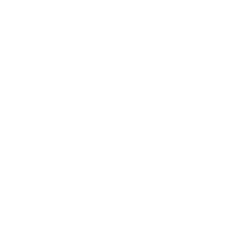 256x256 White Rating Icon