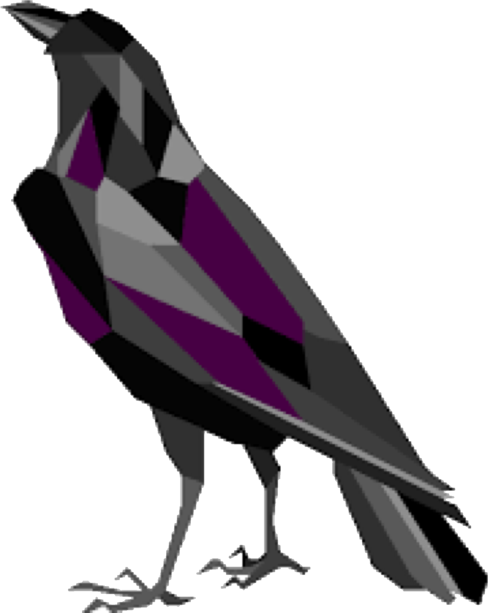 1631x2049 Hd Raven Icon Transparent Png Image Download