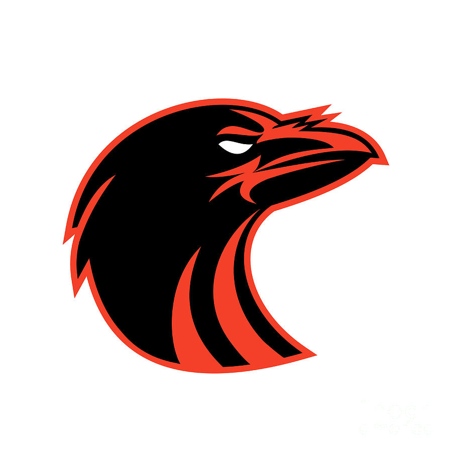 900x900 Angry Raven Head Icon Digital Art