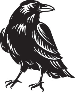245x301 Blackraven Icon