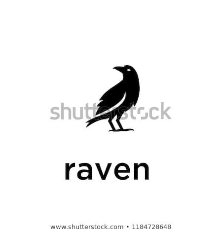 450x470 Raven Logo Icon Designs Vector