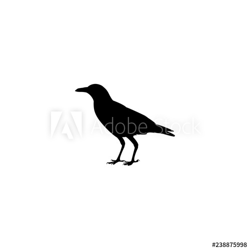 500x500 Raven Vector Icon Raven Sign On White Background Raven Icon