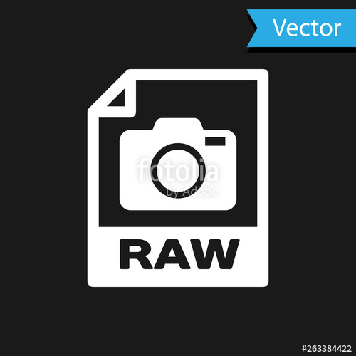 500x500 White Raw Document Icon Download Raw Button Icon Isolated