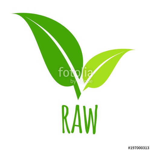 500x500 Raw Icon Green Leaf Vector Illustration Isolated Stock Image