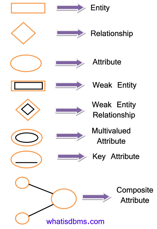 E R Diagrams In Dbms Components, Symbols, And Notations 550x800 E R Diagrams In Dbms Components, Symbols, And Notations