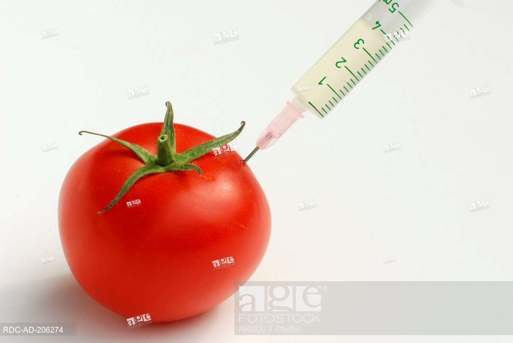 1044x699 Syringe In Tomato, Icon For Genetic Engineering, Stock Photo