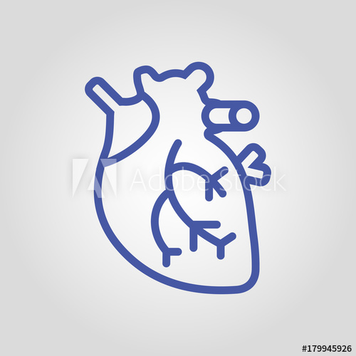 500x500 Anatomical Real Heart Isolated Flat Vector Linear Icon