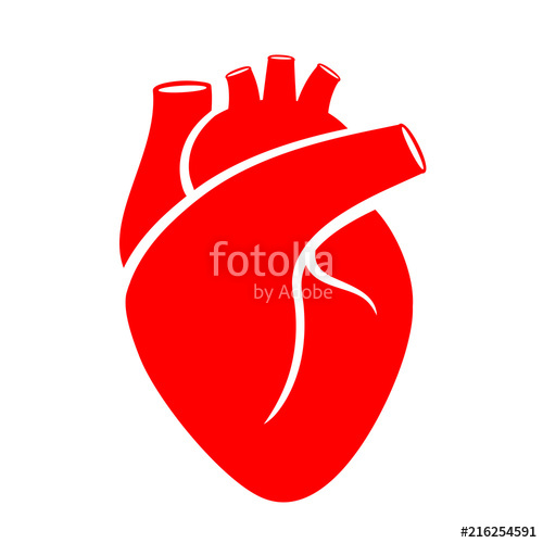 500x500 Human Heart Icon Stock Image And Royalty Free Vector
