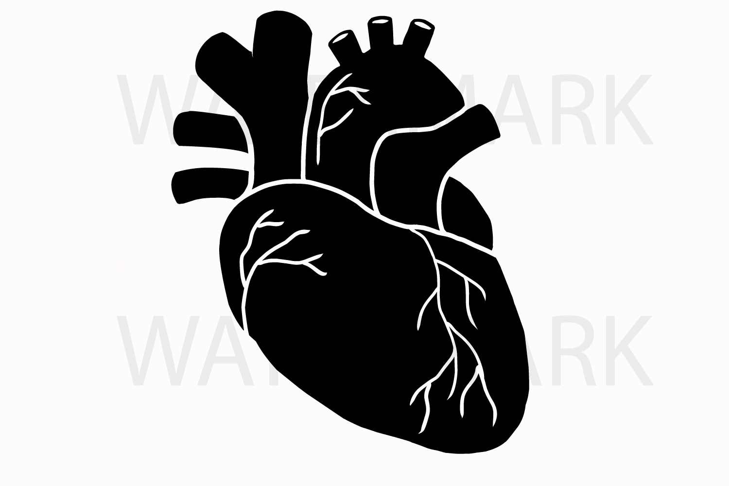 1500x1000 Real Heart Png Images In Collection