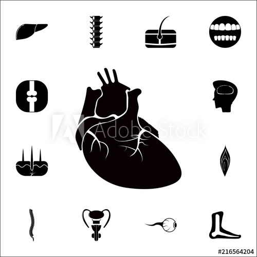 500x500 Real Image Of The Human Heart Icon Detailed Set Of Human Parts