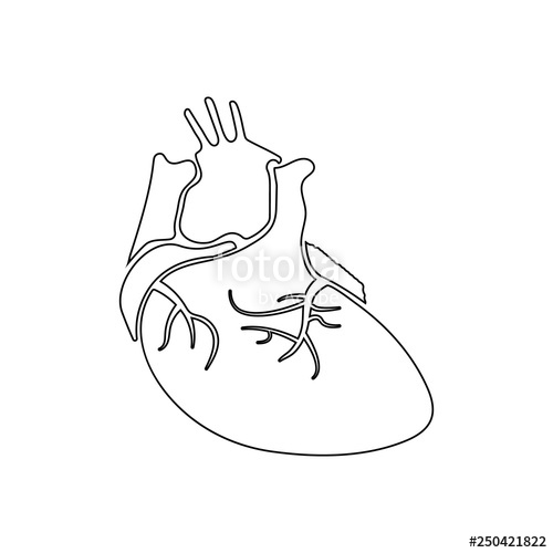 Real Heart Icon at Vectorified.com | Collection of Real Heart Icon free ...
