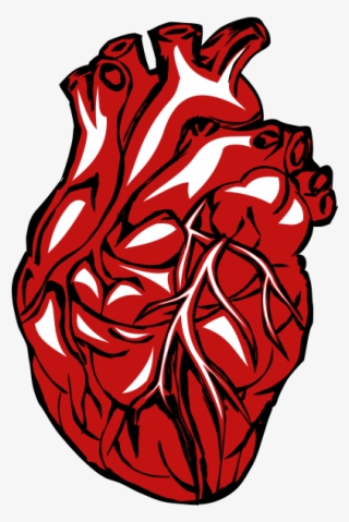 320x479 Real Heart Png, Transparent Real Heart Png Image Free Download