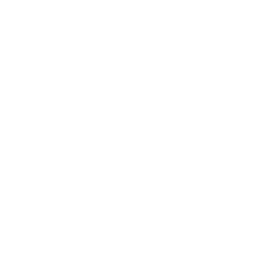 256x256 White Music Record Icon
