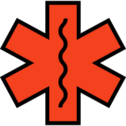Star, Info, Medical, Information, Asterisk, Shapes, Symbol, Signs Icon 256x256 Star, Info, Medical, Information, Asterisk, Shapes, Symbol, Signs Icon