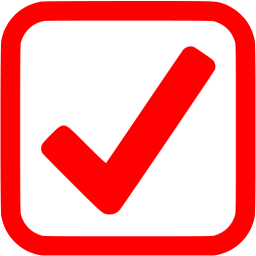 256x256 Red Checked Checkbox Icon