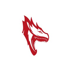 240x240 Search Photos Dragon Icon
