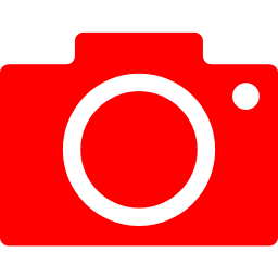 256x256 Free Red Google Images Icon