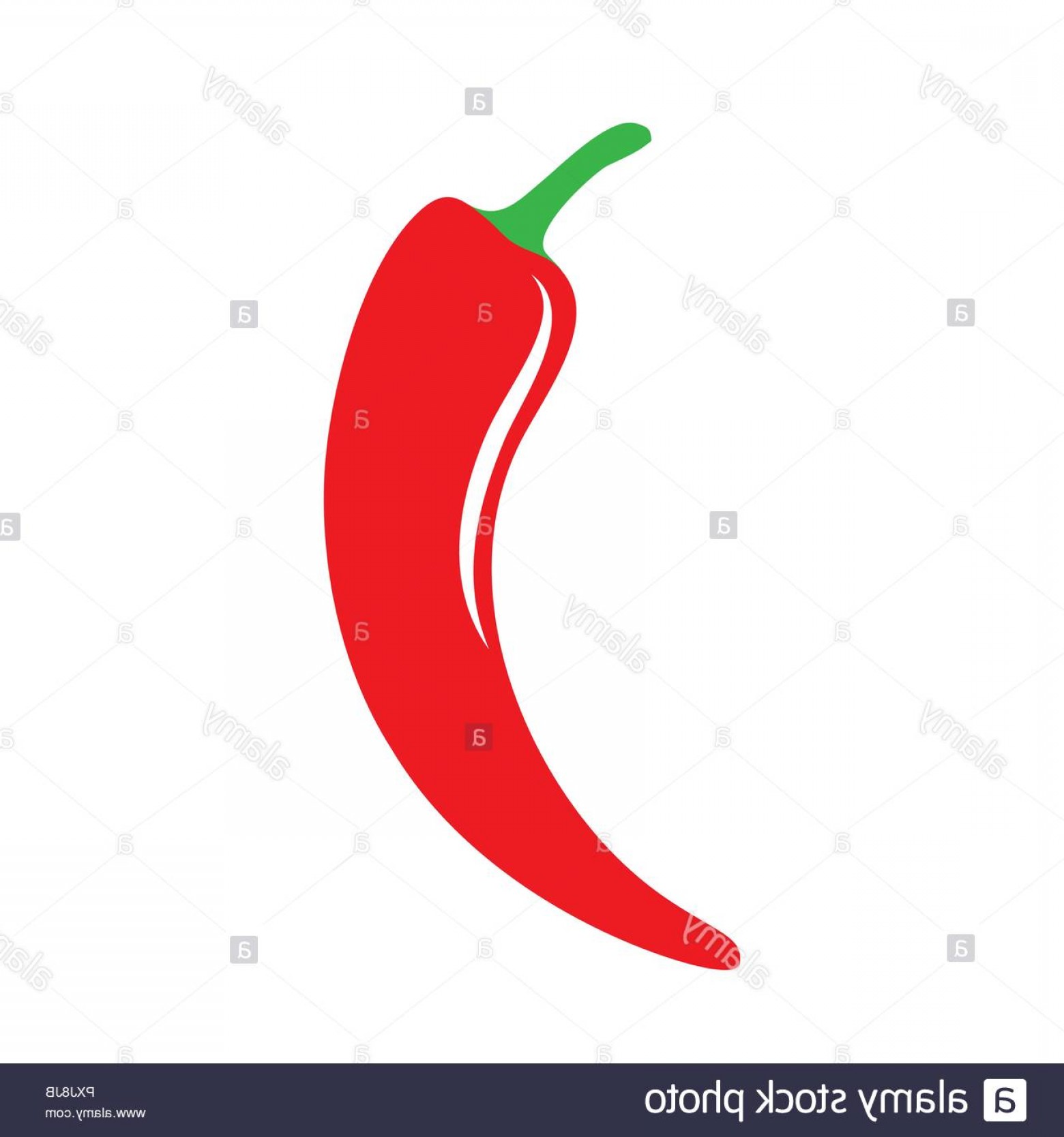 1560x1668 Vector Red Pepper Studiogrfx