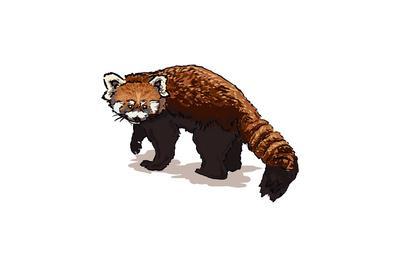 400x267 Red Panda