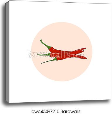 382x390 Icon Red Hot Chili Pepper, Canvas Print Barewalls Posters