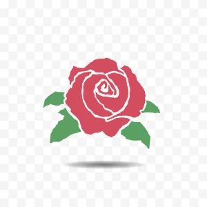 300x300 Red Rose Icon Isolated On Transparent Background Vector Soidergi