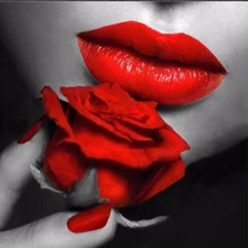 800x800 Romantic Gift Picture Painting Diamond Cross Stitch Rose Red