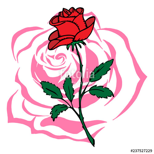 500x500 Rose Icon Vector Illustration Of A Red And Pink Roses Red Rose