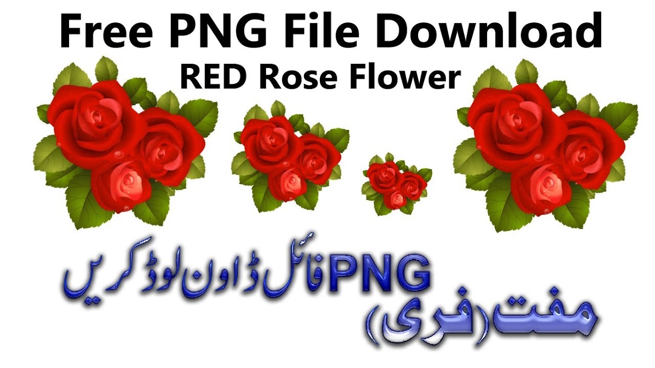 1280x720 Png Red Rose Flower Red Rose Png Download Rose Rose Icon Png