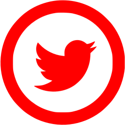 Red Twitter Icon 256x256 Red Twitter Icon
