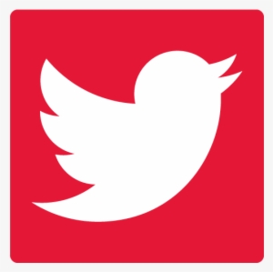 Twitter Logo Png, Transparent Twitter Logo Png Image Free Download 300x299 Twitter Logo Png, Transparent Twitter Logo Png Image Free Download