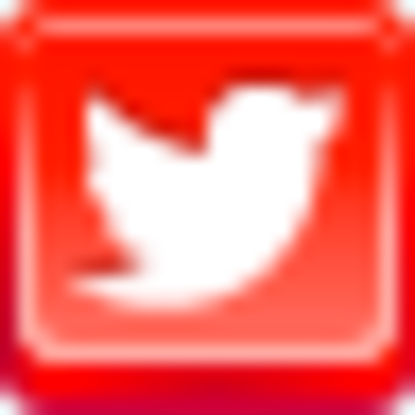 Free Red Button Icons Twitter Bird Free Images 600x600 Free Red Button Icons Twitter Bird Free Images