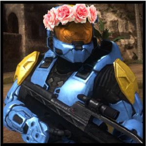 300x300 Red Vs Blue Icon Agent Washington Flower Crown Icons Tv